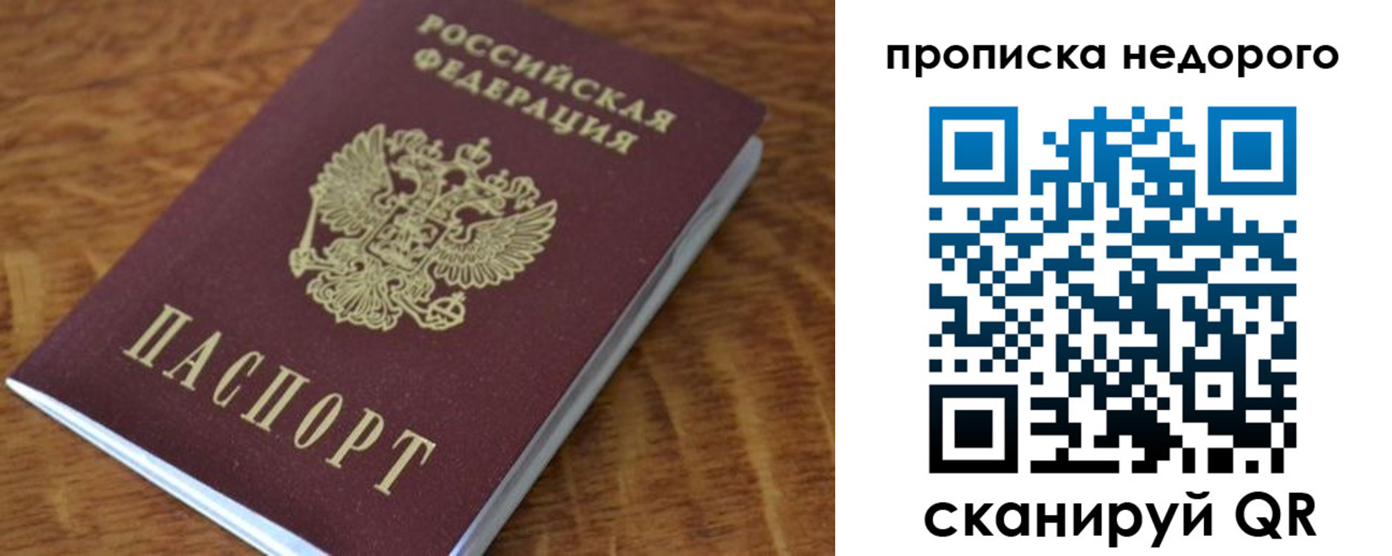 прописка 2025 в Светлогорске