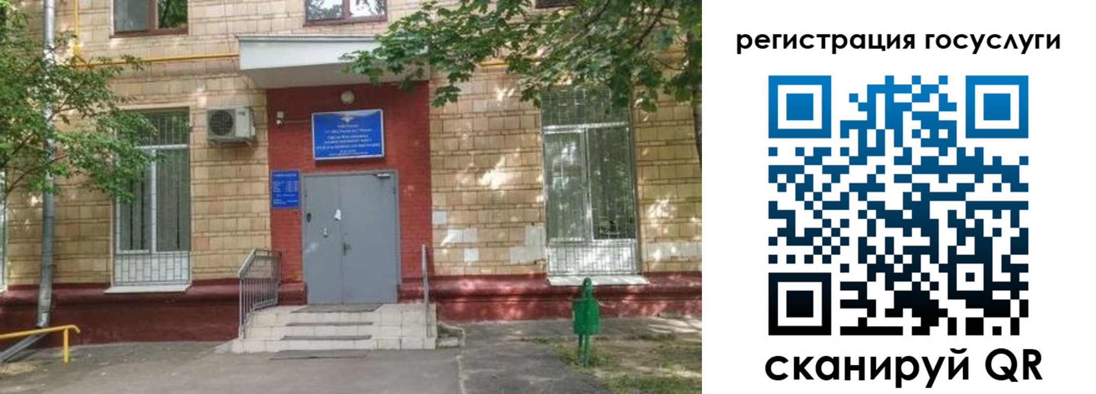 прописка паспорт в Светлогорске